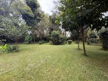0.76 ac Land in Lavington
