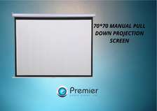 PROJECTION  70*70 screen