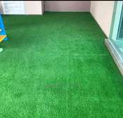 Modern artificial-grass carpets
