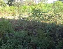 1/4 acre for sell in Busia county,teso south