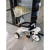 Generic Push Tricycle With Canopy Protective Bar