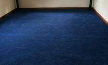 ♦️♦️Delta wall to wall carpet (blue ) ##