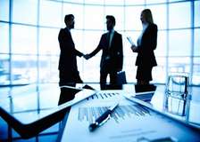 Professional Company and Business Profile Services