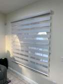Zebra blinds windowblinds