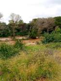 1400 acres along the river in Ng'wata Makueni County