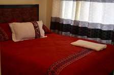 2& 3 bedroom furnished standalone in buruburu