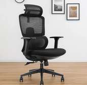 Executive Orthopedic Office Chair