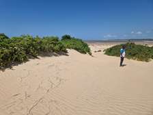 Malindi beachside plots — 50×100 ft. From KES 2M per plot