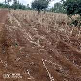Affordable plots at Mwea Makutano in Kirinyaga county
