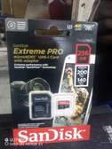 Micro SD 256gb Extreme Pro