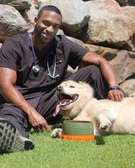 Dog Grooming Services in Nairobi Lavington Gigiri Runda
