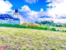 0.05 ha Residential Land at Kamangu
