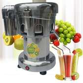 Professional Commercial Juice Extractor Vegetable Juicer