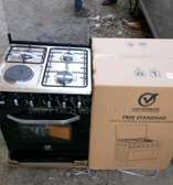 Standing cooker 60 by 60