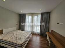 Furnished 2 Bed Apartment with En Suite in Kitisuru