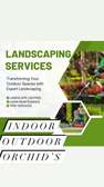 Landscaping and gardening services