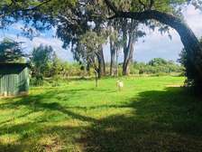 Nanyuki/ Meru
