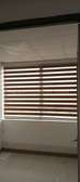 ZEBRA WINDOW Blinds