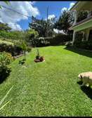 5 Bed Townhouse with En Suite in Lavington