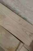 Dry Meru oak