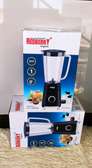 4 in 1 REDBERRRY blender