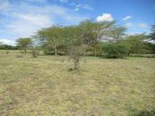 Land at Kitengela