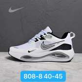 Nike zoom (winflow)