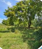 Equisite plots for sale in Kilifi