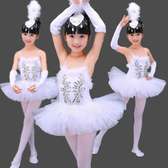 Professional Ballerina Dancing costumes