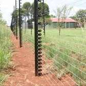 Electric Security Fences |  Electric fencing, security, animal management.Get quotes from security pros.