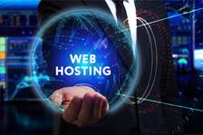 Web Hosting and Design Plus Domain Registration