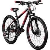 Reset Mountain Bike 24" With Gear, Shoxs and Disc Brakes