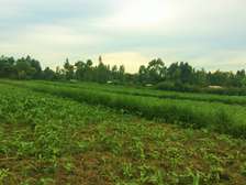 quarter an acre for sale at luucho bungoma