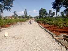 0.5 ac Land at Runda