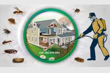 Pest Control and Exterminators
