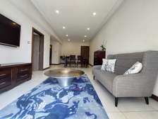 Furnished 1 Bed Apartment with En Suite at Mkungu Close