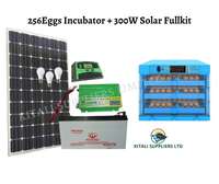 solar fullkit 300watts plus 256eggs