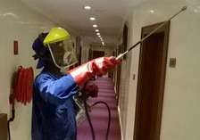 Fumigation and Pest Control Services Lakisama