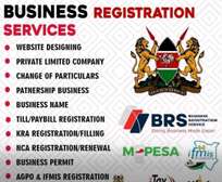 Business Registration Services