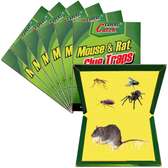 Rat traps 6 pieces rat traps