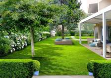 Landscaping and gardening