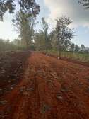 ¹½ prime acre Plot in Muthithi Gardens