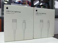 Apple Original Type C To Lightning Cable For Fast Charge