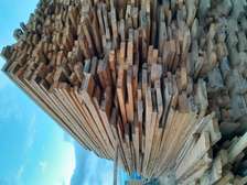 Pine timber for sale