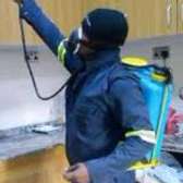 Mould control and treatment
