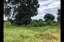 Residential Land in Vipingo