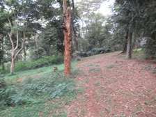 4 ac Land at Mushroom Gardens