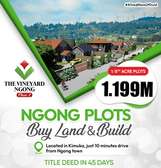 Plot For Sale - 1/8 Acre in Kimuka Ngong  1.199M KES