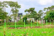 0.125 ac Residential Land in Nakuru County