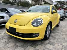 2015 Volkswagen beetle